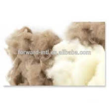 Mongolian cashmere fiber, dehaired in Mongolia China